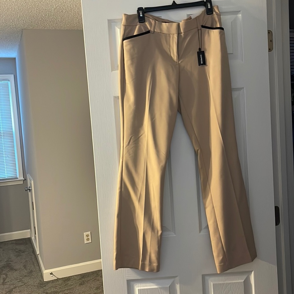 Express dress pants